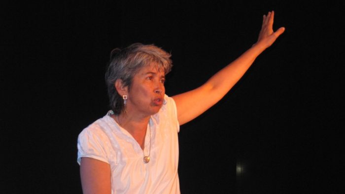 Hermana de diputada de Comunes: Patricia Mix es nominada como Seremi de Cultura en la Región de Valparaíso