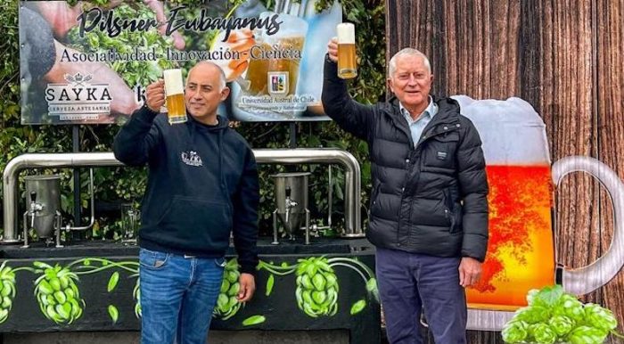 Pilsen Eubayanus: la nueva cerveza de levadura nativa creada por colaboración de científicos y cervecerías regionales