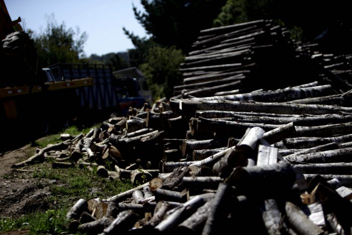 Gobierno promulga nueva ley que sanciona como delito grave el robo de madera