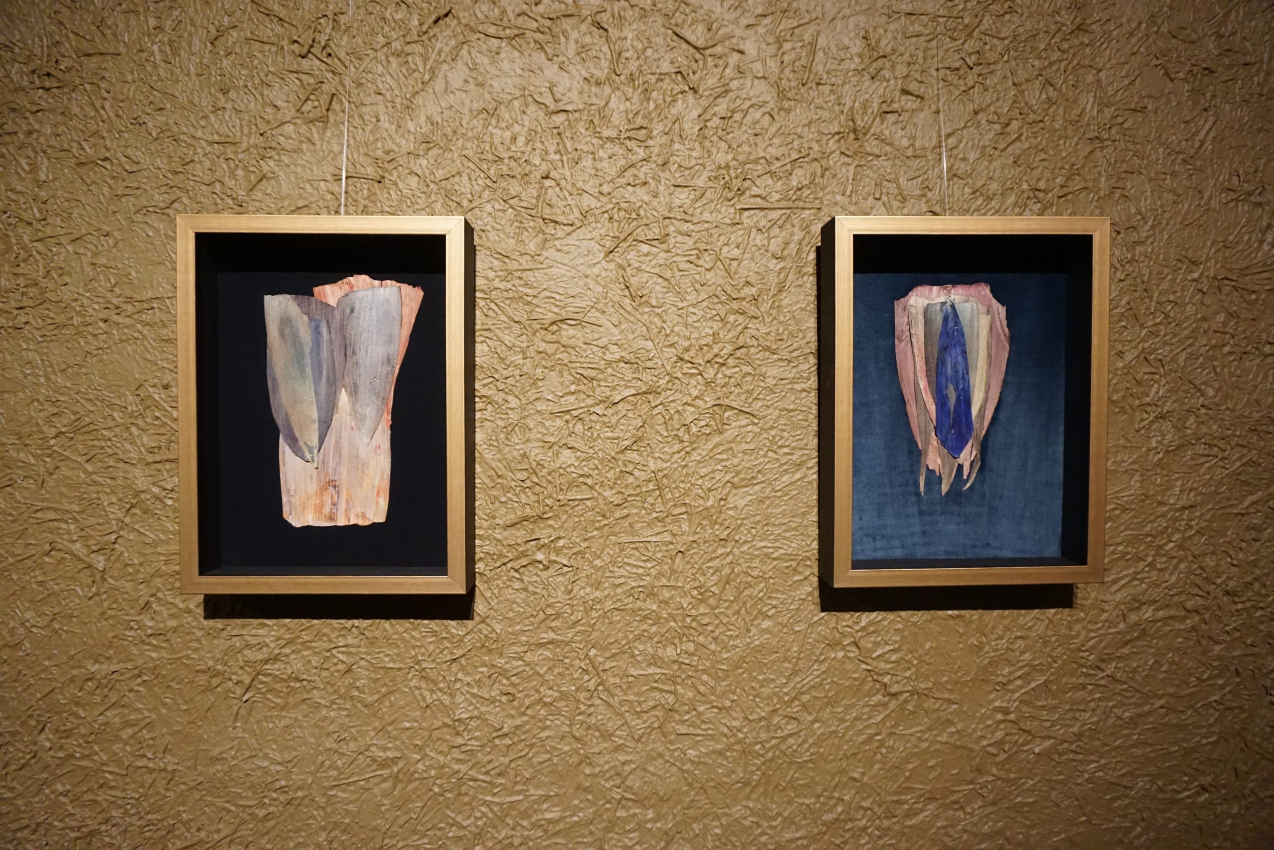 "Bulbos vulvas" de Soledad Urzúa.