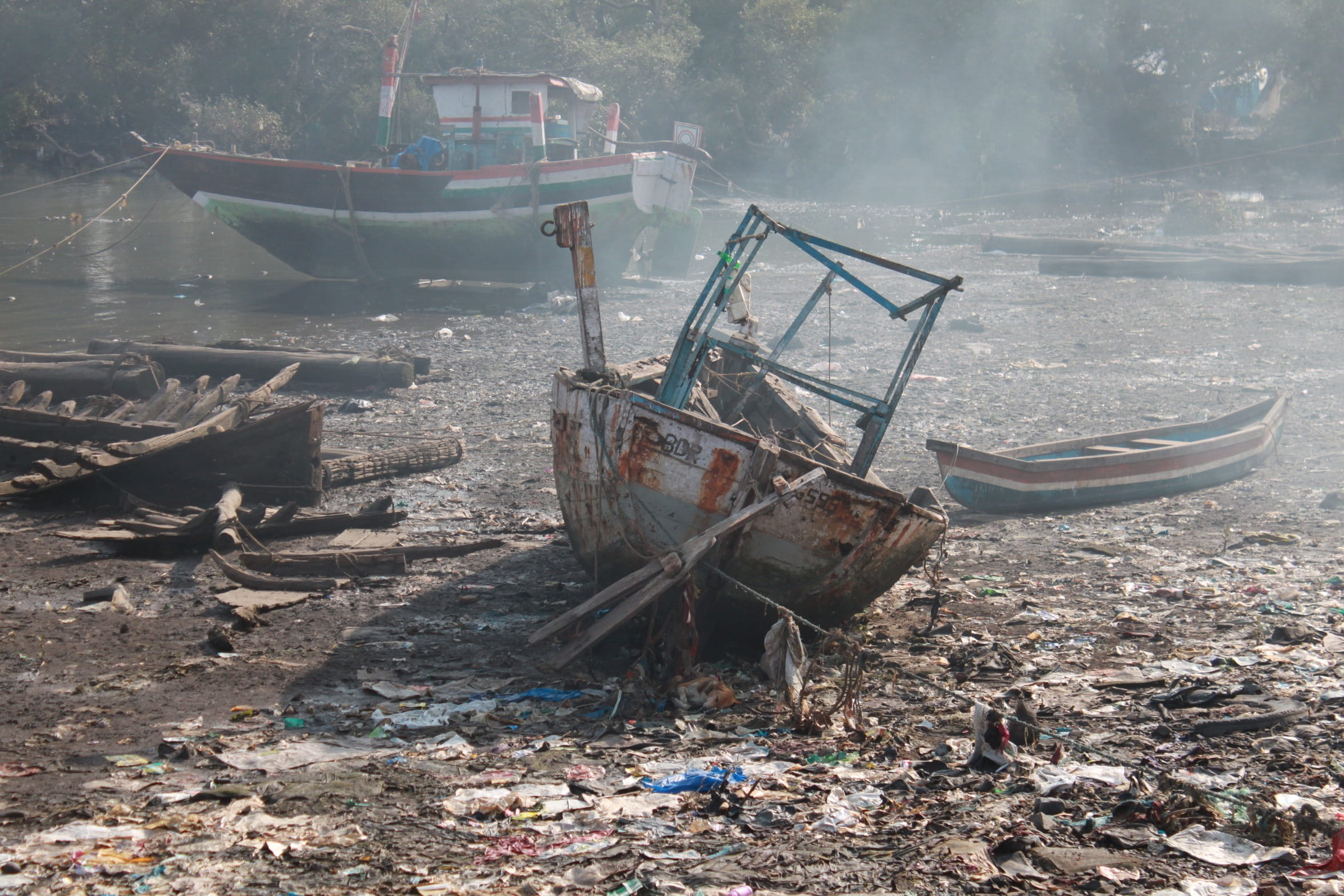 Investigación con IA ayudaría a proteger a la población de posibles tsunamis