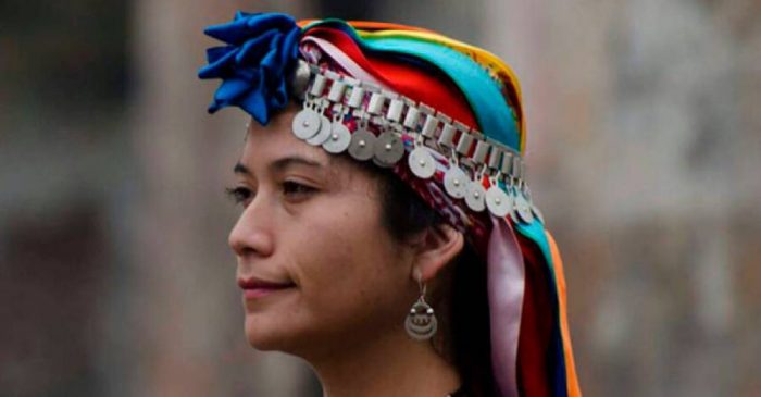 Diputada mapuche Ericka Ñanco por asesinato de Catril: “A la delincuencia también le beneficia la inestabilidad, y hoy está presente en todo Chile»