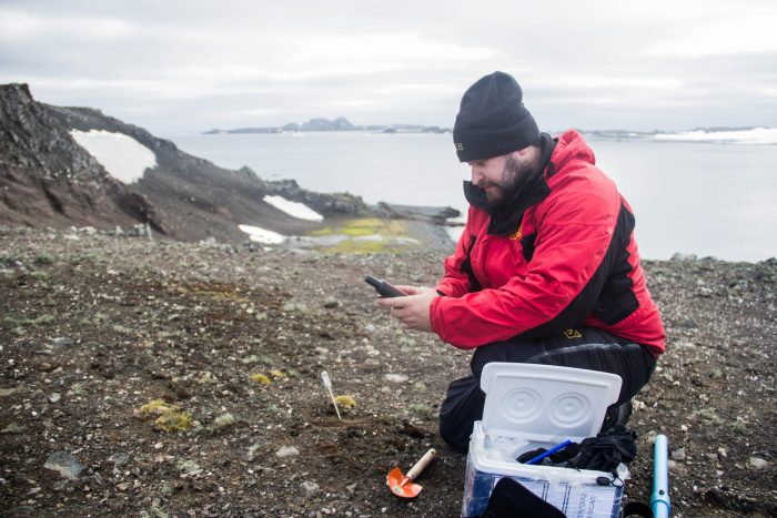 Descubren potencial biotecnológico de bacteria antártica que produce un detergente biológico