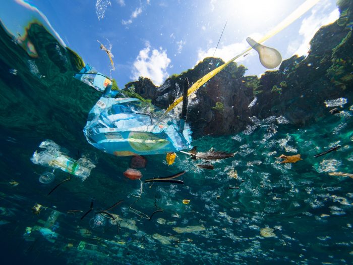 Organizaciones internacionales se unen en la lucha contra la contaminación por plásticos en la antesala a un tratado mundial