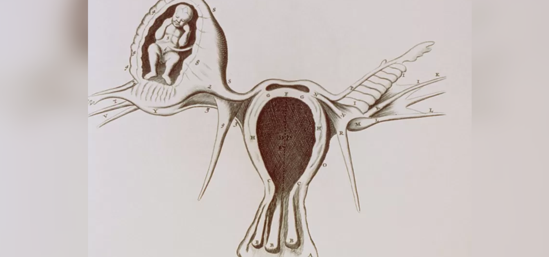¿Qué es un embarazo ectópico y qué mujeres corren más riesgos de sufrir esta complicación?