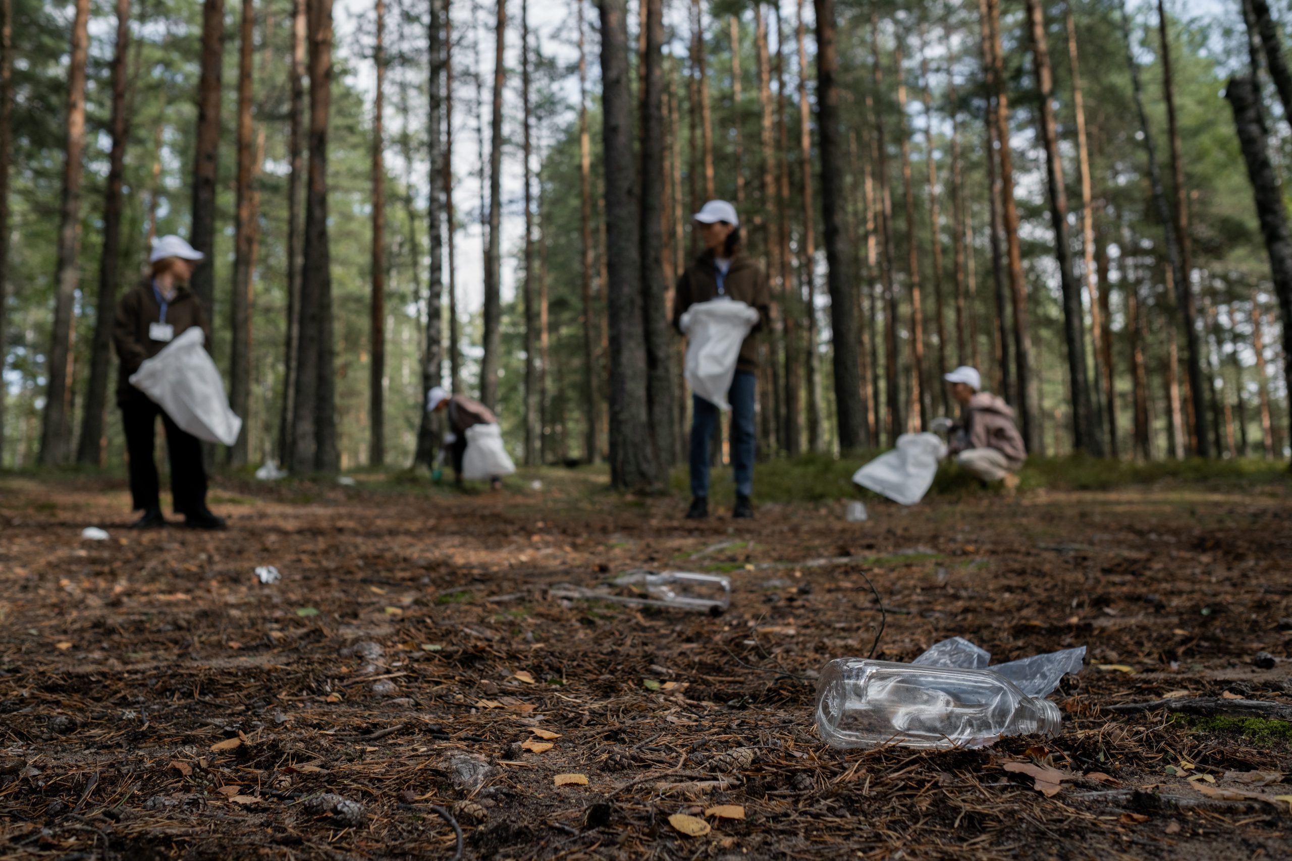 Degradación de los ecosistemas afecta el bienestar de más de 3 mil millones de personas