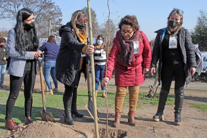 CONAF dona árboles para «la vida y la memoria» a Memorial Paine