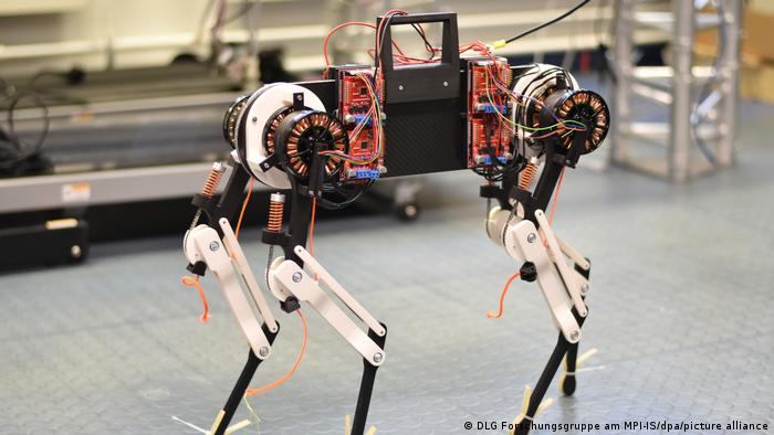 Un perro robot con «médula espinal virtual» aprende a caminar en solo una hora