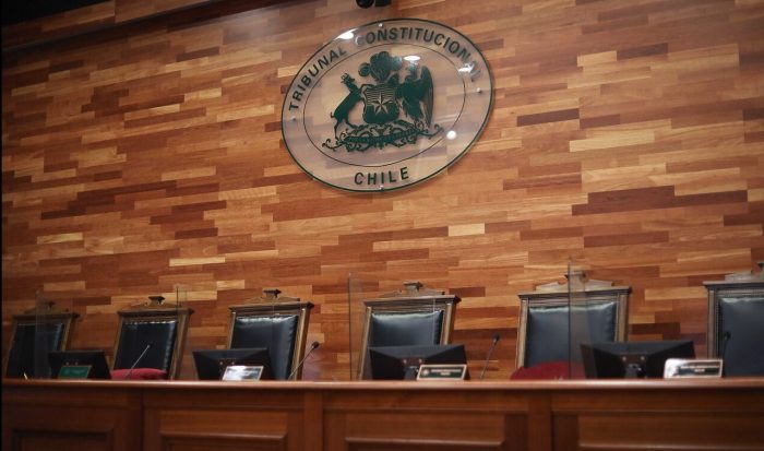 TC declara inadmisible requerimiento en contra de la CAM y otras tres agrupaciones mapuche