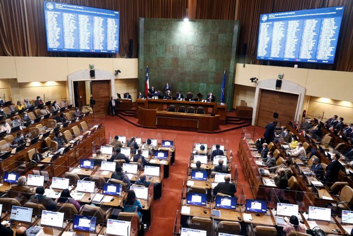 Congreso despacha a ley el Bono Chile Apoya de Invierno y extensión del posnatal de emergencia