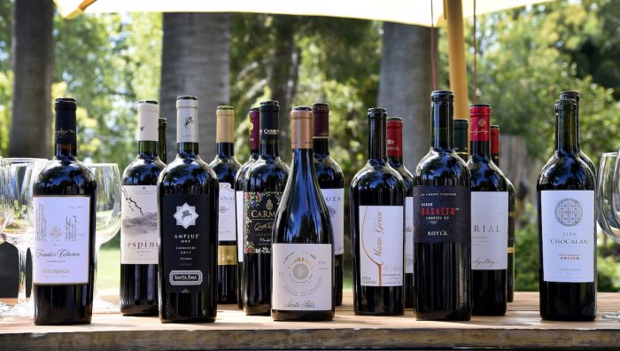 Carmenère Al Mundo: especialistas nacionales e internacionales elegirán el mejor vino de Chile