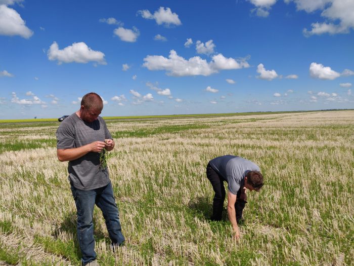 La tecnología e innovación en la agricultura serán claves para enfrentar la crisis climática en el sector