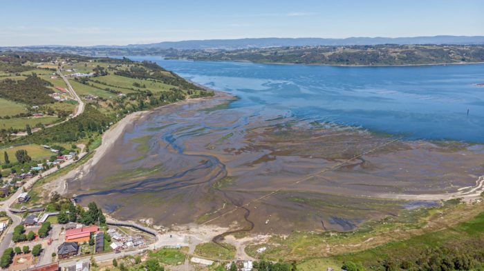 Declaran tres humedales costeros de Chiloé como nuevos Santuarios de la Naturaleza