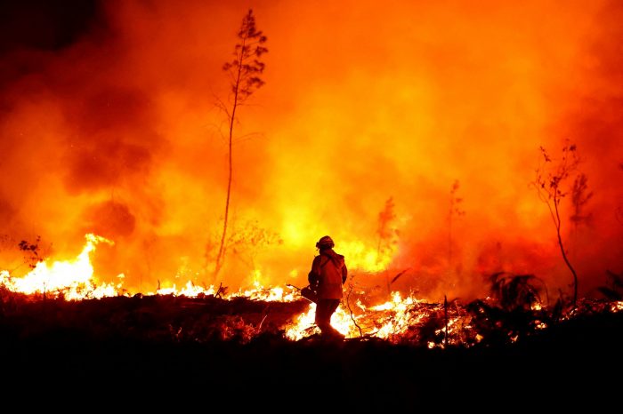 Voluntaria de Bomberos falleció en medio de combate de incendio forestal en Santa Juana