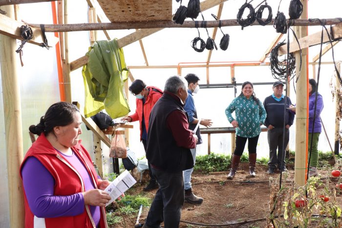 Comunidad mapuche tendrá innovador sistema de gestión de agua energía  basado en IoT y energías renovables