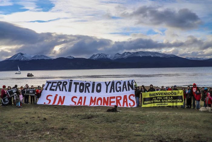 A un año de la ley argentina que puso fin a la industria salmonera: más de 60 organizaciones chilenas esperan aprobación de proyecto similar y presentan sus ideas ante la ONU