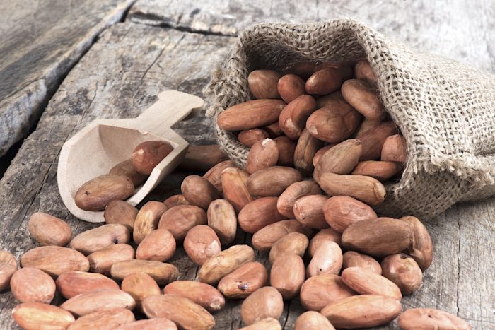 Producción mundial de cacao se ha duplicado en los últimos 30 años 