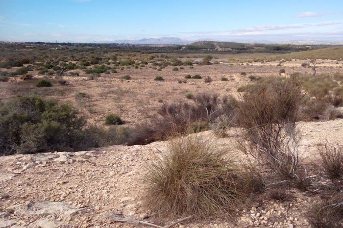 ¿Es posible revertir el proceso de la desertificación?