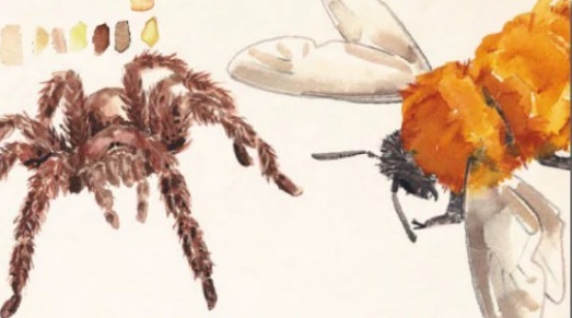 Lanzamiento de libro «Invertebrados chilenos”