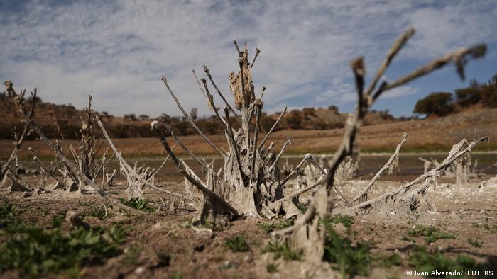 América Latina sedienta: los estragos de la sequía