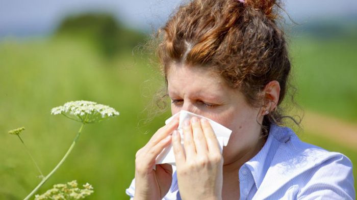 ¿Cómo diferenciar las alergias de un virus respiratorio?