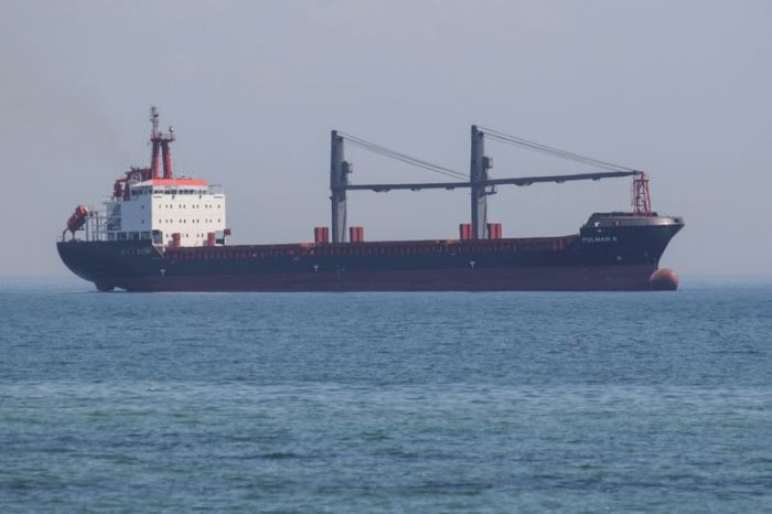 Otros dos buques con cereales zarpan de Ucrania con rumbo a Turquía y Corea