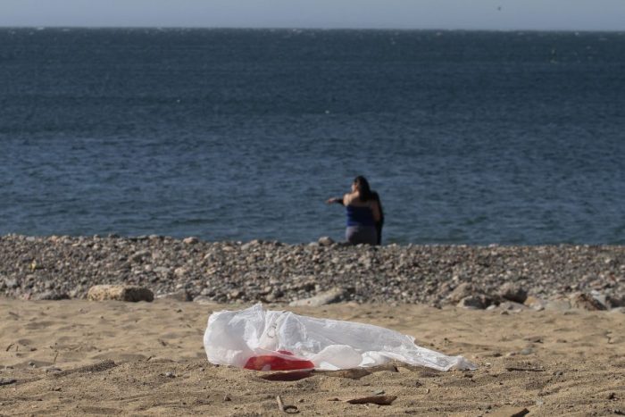 Directora jurídica de Oceana Chile: «Si seguimos actuando como hoy en día, se espera que en 20 años tripliquemos la cantidad de plástico que llegue a los océanos»