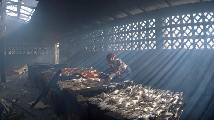 “Stolen Fish”, documental polaco sobre la sobrepesca en Gambia ganó el 1° Festival de Cine del Mar