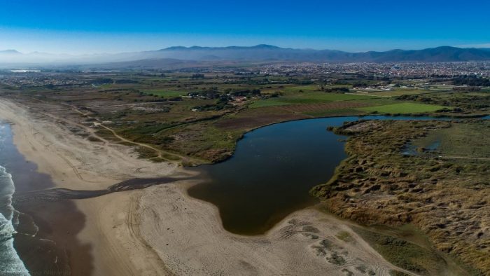 Río Elqui es reconocido como primer humedal urbano de la Región de Coquimbo