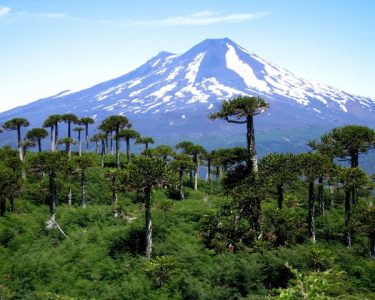 Colaboración pública privada para la conservación de áreas silvestres protegidas del Estado