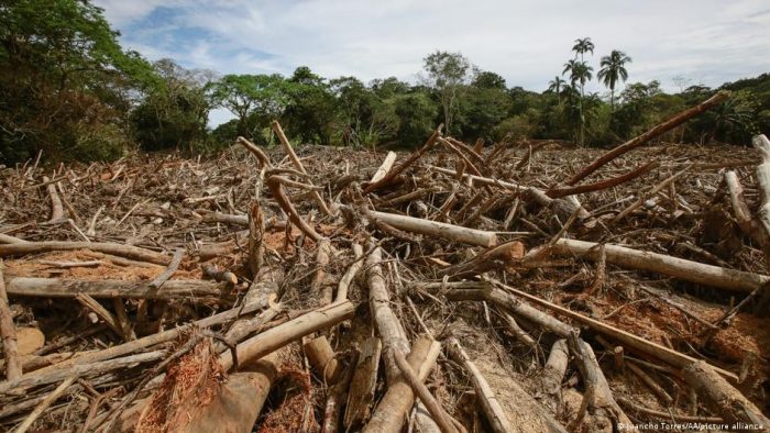 La agricultura impulsa más del 90% de la deforestación tropical
