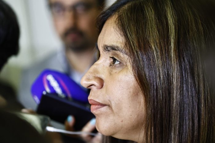 Fabiola Campillai interpuso querella criminal por amenazas y hostigamiento en redes sociales
