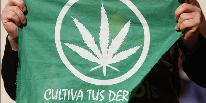 Presidente de Dispensario Nacional de cannabis cumple un mes preso por no presentar un permiso que no existe