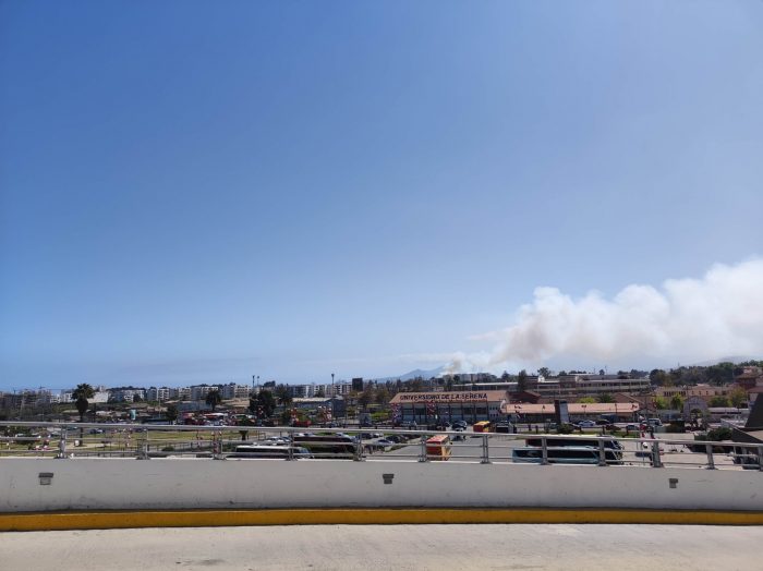Onemi declara alerta roja en La Serena tras incendio forestal en Caleta San Pedro