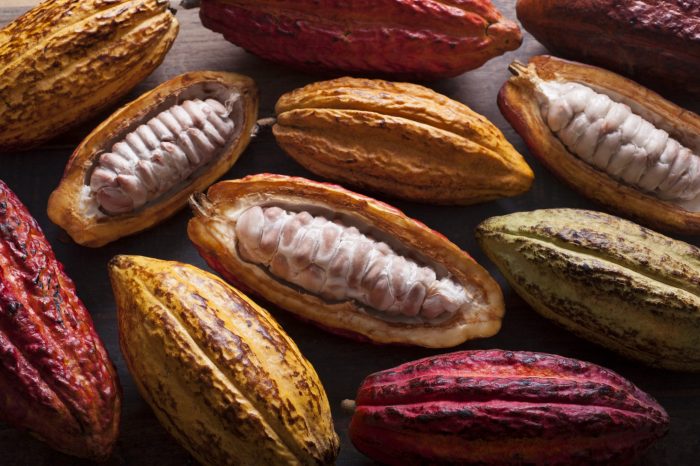 Perú concentra su oferta en el cacao y café en novedosa feria gastronómica