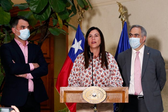 Chile Vamos apuesta por principios de una nueva Constitución: tres poderes del Estado, Congreso bicameral y protección del derecho a la vida