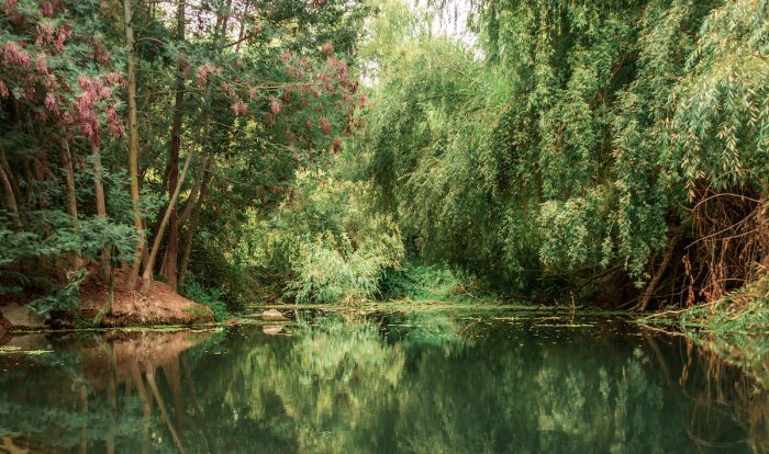 Buscan potenciar el turismo rural en Malloa, San Vicente de Tagua Tagua y Pichidegua