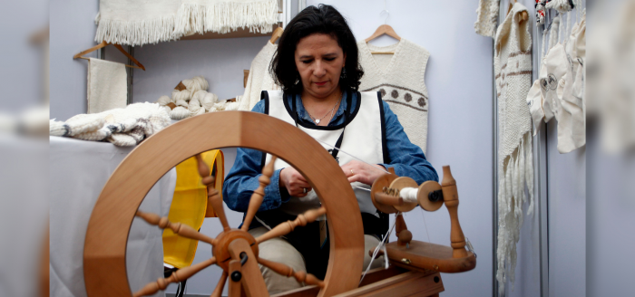 »PAR Chile Apoya Mujeres»: programa recupera la autonomía económica de las emprendedoras