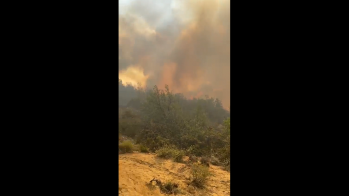 Onemi decreta alerta roja para la comuna de Tiltil por incendio forestal
