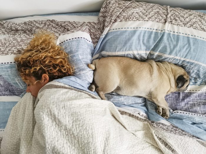 ¿Duermes con tu mascota? Estudio revela que podría ser beneficioso para un buen descanso