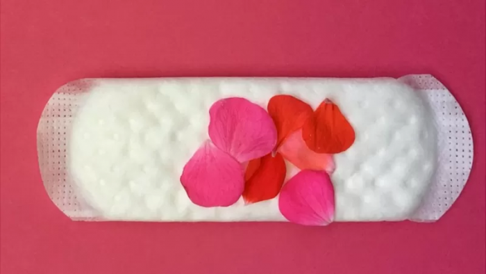 “Tejido conectivo líquido”: un formato híbrido sobre la menstruación