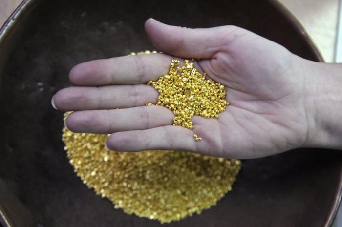 Cochilco apunta que producción del oro en Chile subirá un 28% en 2024