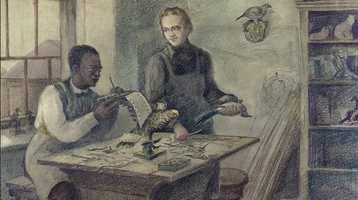 John Edmonstone, el esclavo liberado que le enseñó taxidermia a Darwin, un arte que abrió el camino para su teoría de la evolución