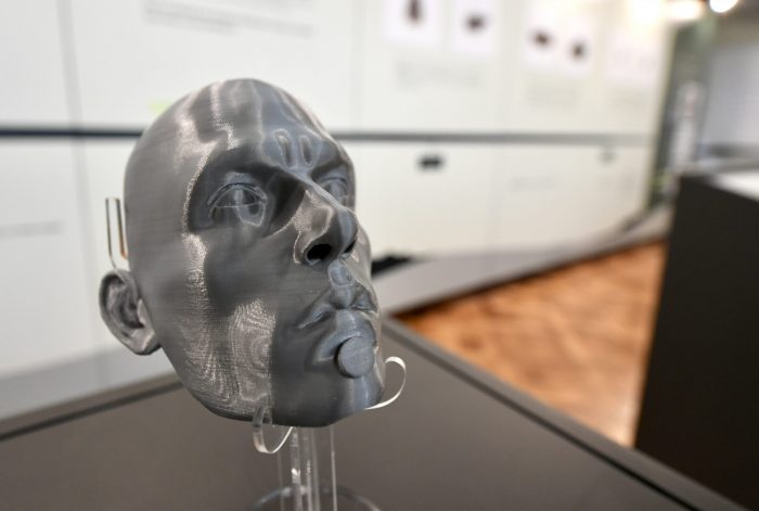 Exposición “Renaico: Arqueología entre árboles y viento”