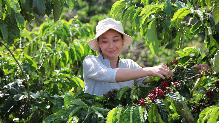 Emblemática marca de café impulsa la agricultura regenerativa y el origen responsable