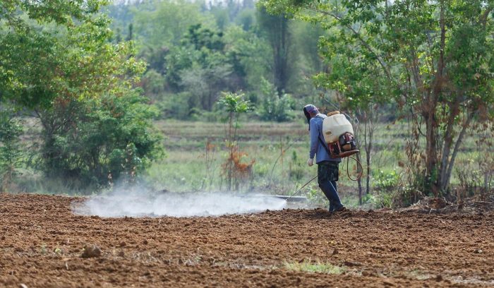 Prohibición del clorpirifos: proyectándonos como un país sostenible y libre de plaguicidas peligrosos