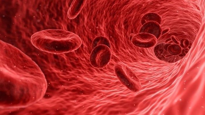 Síndrome Hemolítico Urémico Atípico: la extraña enfermedad cuyo tratamiento incluye uno de los medicamentos más caros del mundo