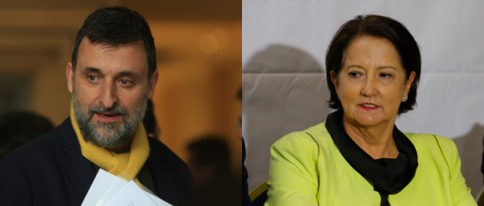 Servel reconoce a Amarillos por Chile como partido en formación: Cristián Warnken es presidente y Soledad Alvear parte del TS