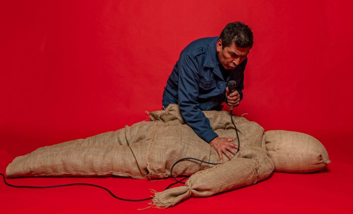 Obra «La reminiscencia del hombre que parecía un ciervo» en Valparaíso