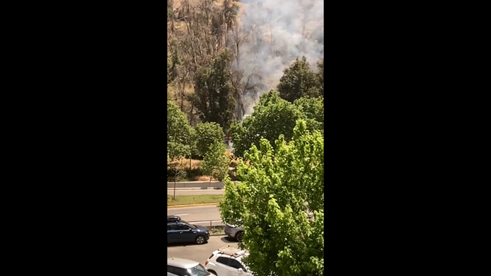 Reportan incendio en ladera sur del cerro San Cristóbal